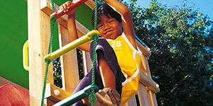 the rope ladder in use with a 1-step ladder combined with a tower